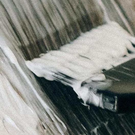 Ritual Root & Hair Cut